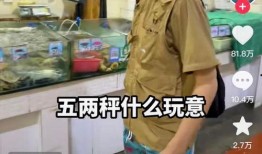 辛吉飞爆料零食视频,零食背后的真相，揭秘食品添加剂的滥用