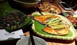 顺城美食爆料视频大全,视频大全带你领略地道风味