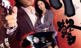 刑警2010 在线观看,在线追凶，正义之光