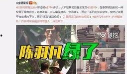 卓伟爆料模特视频播放下载,独家下载解析