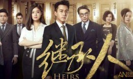 继承人 在线观看,揭秘家族传承的权力争夺战
