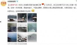 潮汕网红爆料事件真相视频,揭秘真相背后的曲折历程