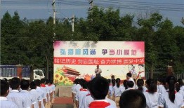 大连青云小学爆料新闻事件,校园安全事件引发社会关注