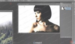 爆料技巧方法视频教程,视频教程带你轻松掌握爆料高招