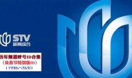 上海综合频道在线观看,在线观看，尽享精彩瞬间