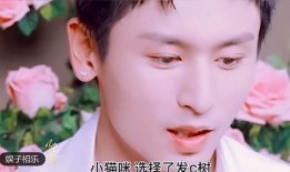 蓝鲸四哥被爆料视频大全,揭秘网络红人真实生活