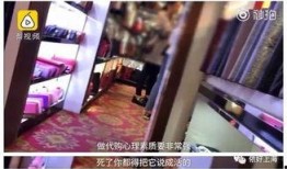 爆料网红真假视频大全集,揭秘网红圈背后的真相