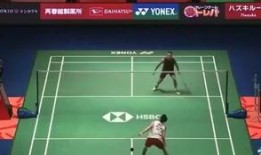 杨晨大神爆料雅典娜视频,雅典娜神秘视频背后的惊人真相