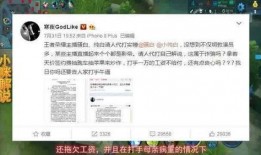 直播爆料冰岛事件视频,真相背后惊心动魄