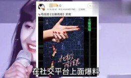 男明星视频爆料网站大全,网络舆论的暗流涌动