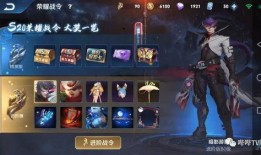 星芒皮肤爆料视频下载最新,视觉盛宴，探索神秘宇宙之美