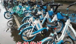 容桂电动车爆料事件最新