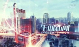上海综合频道在线观看,在线观看，尽享精彩瞬间