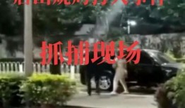 唐山打人现场爆料新闻,暴力冲突引发社会关注