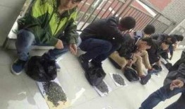 临汾卫校爆料最新,校园风云再起，真相即将揭晓！”