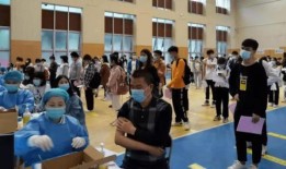 苗阜小强最新爆料消息,揭秘娱乐圈惊人内幕