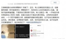 爆料某王姓明星视频大全,一场娱乐圈的惊雷风暴