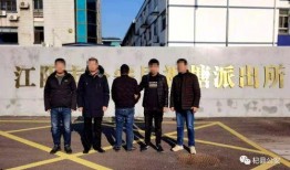 杞县公安局爆料信息网最新,揭秘网络诈骗案件背后的真相