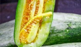 山东威海网红吃瓜,一场视觉与味蕾的双重盛宴