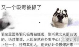 爆料娱乐圈吸毒事件视频,揭秘明星隐秘生活