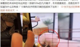 殷世航爆料小猪视频,独家爆料背后的真相