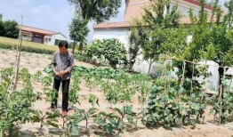 朱子文儿媳爆料婆婆视频,视频曝光惊人内幕