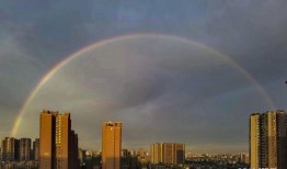 成都彩虹爆料事件视频最新,真相与争议的交织