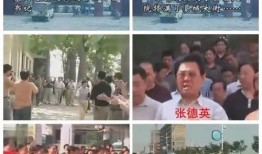特大冤案爆料视频大全,视频大全背后的真相与反思