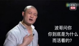 波哥励志爆料视频大全最新,点燃梦想，砥砺前行的力量