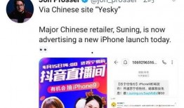 意大利爆料苏宁事件视频,苏宁事件视频揭露惊人内幕