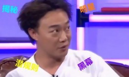 娱乐圈明星爆料大盘点,揭秘明星背后的故事与真相