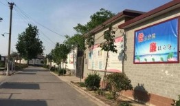 河北邯郸同村人爆料新闻,揭秘邻里间的惊人真相