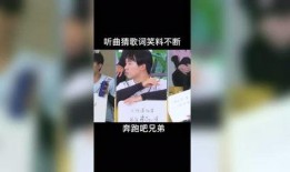 最新爆料的综艺叫什么名字,最新爆款节目名称大猜想