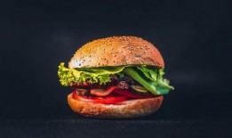 汉堡店外卖爆料视频大全
