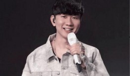 爆料林俊杰王力宏视频,精彩瞬间引网友热议