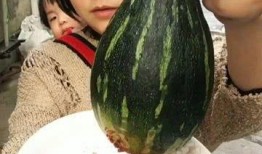 网红吃的什么蒸瓜好吃呢,蒸瓜新吃法，美味又营养！