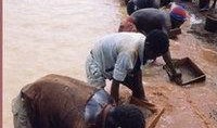 血钻电影在线观看土豆,土豆独家首映，揭秘非洲钻石背后的残酷真相