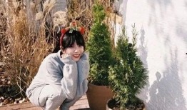 金智秀专辑爆料最新消息