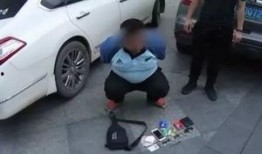 嘉兴偷电瓶车爆料视频,监控视频揭露惊人真相