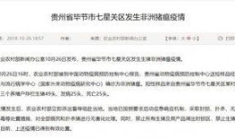 七星关区新闻爆料,聚焦民生热点，揭示社会动态