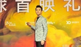 爆料成龙说谎视频大全下载,揭秘娱乐圈真相背后的谎言