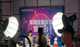 爆料燕子探店视频,燕子探店带你领略地道风味