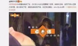 日夜啪啪在线视频观看,一场视觉盛宴的探索之旅