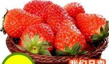 丹东草莓爆料最新消息,丰收季即将来临，品质与产量双提升