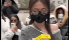 沙雕吃瓜爆料视频大全下载,揭秘热门视频大全下载攻略
