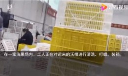 怎么在澎湃新闻里爆料,如何有效揭露社会现象