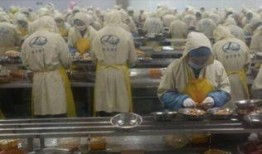 剥虾工人爆料视频播放,揭秘海鲜加工行业背后的辛酸与真相