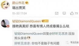 各种八卦爆料视频大全集,八卦爆料视频大全集深度解析