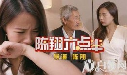 陈翔六点半劫匪爆料视频,劫匪自爆内幕，视频曝光惊人细节