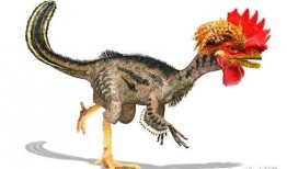 吃鸡小恐龙爆料视频下载,独家爆料视频深度解析